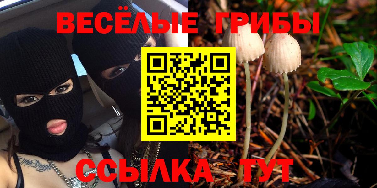 Кольчугино  купить   Вход с VPN  Галлюциногенные грибы мицелий 